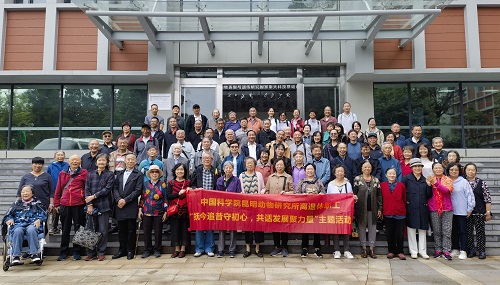 电子游戏app下载安装