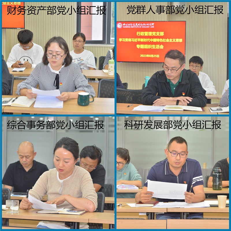 电子游戏app下载安装