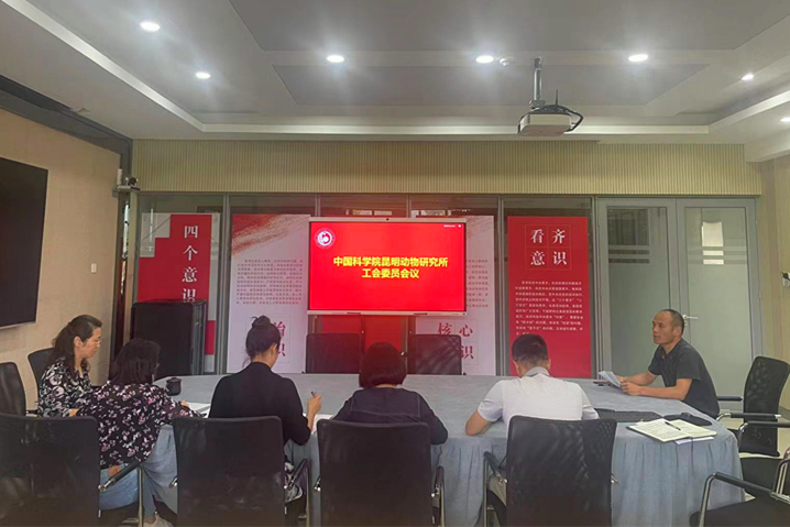 电子游戏app下载安装