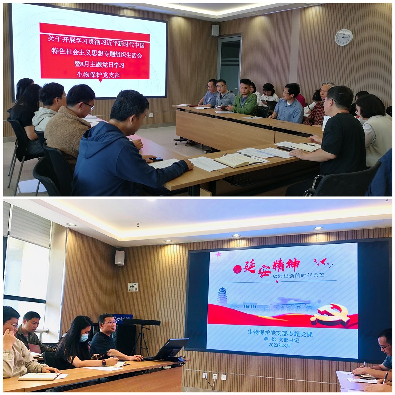 电子游戏app下载安装