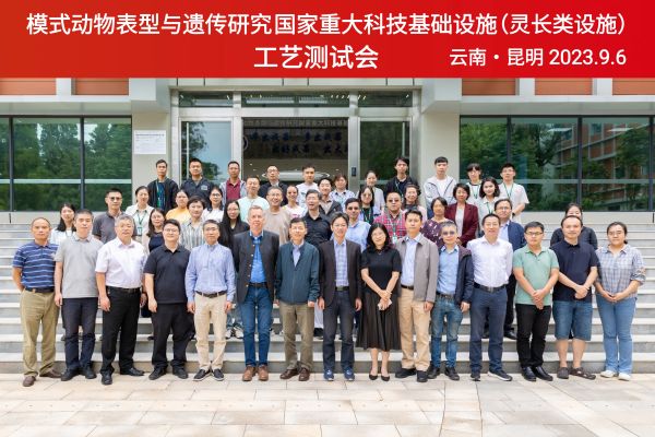 电子游戏app下载安装