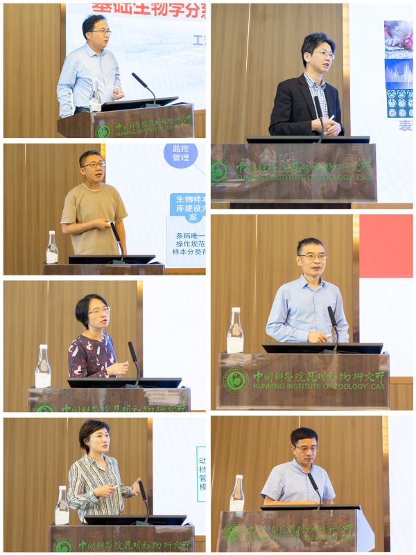 电子游戏app下载安装