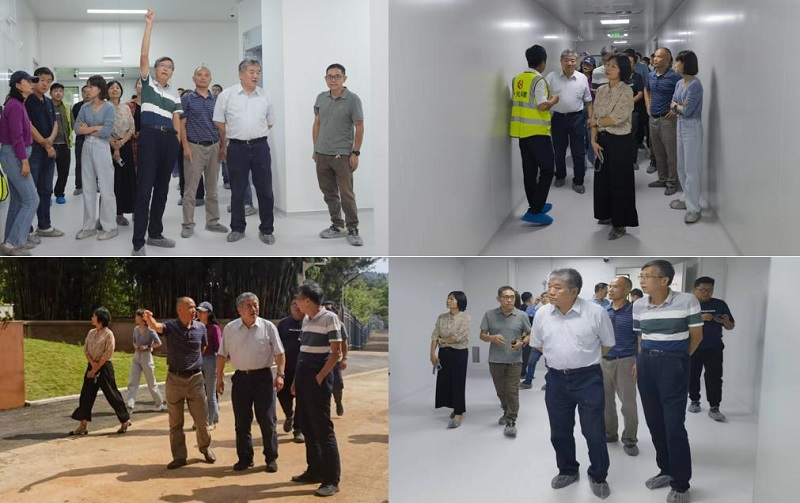 电子游戏app下载安装