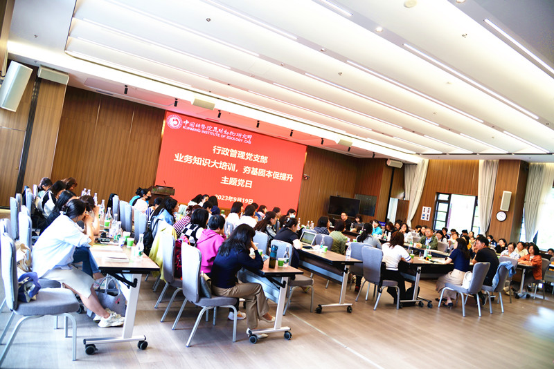 电子游戏app下载安装