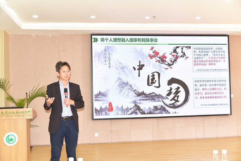 电子游戏app下载安装