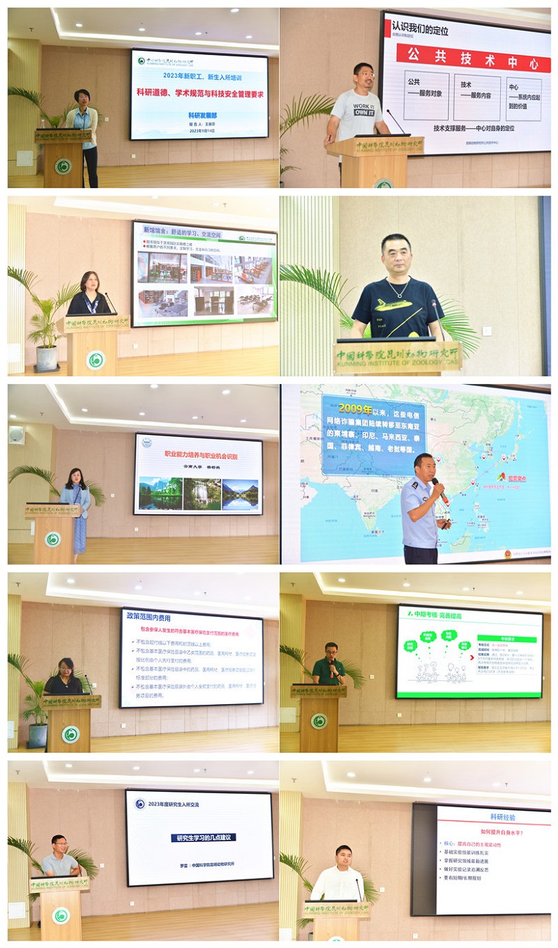 电子游戏app下载安装