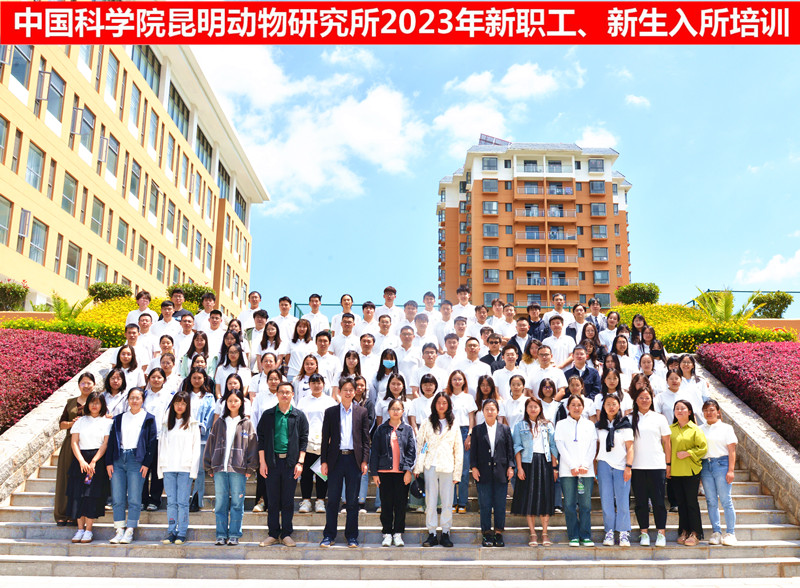 电子游戏app下载安装