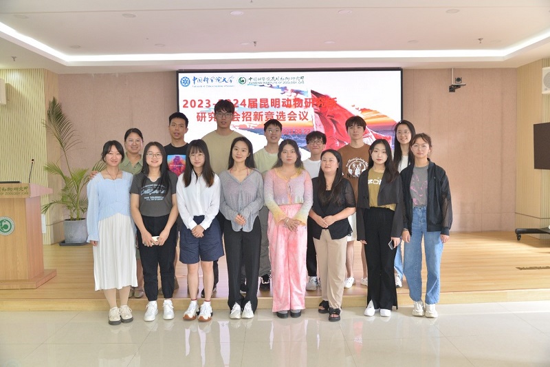 电子游戏app下载安装