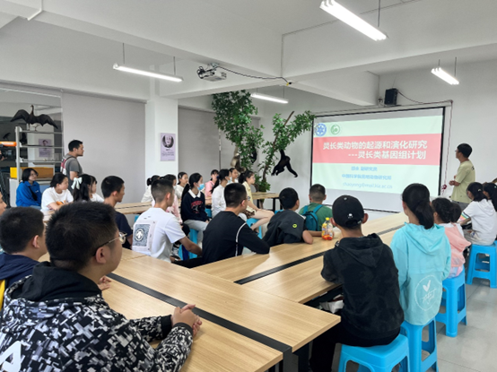 电子游戏app下载安装