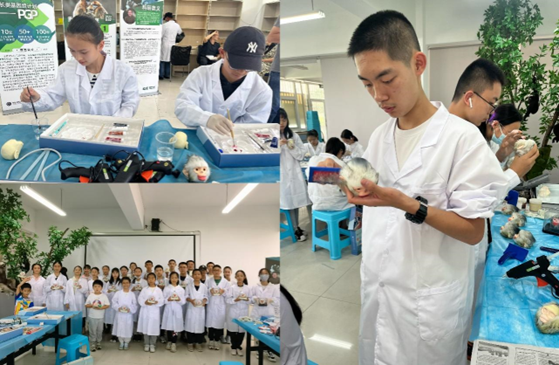 电子游戏app下载安装