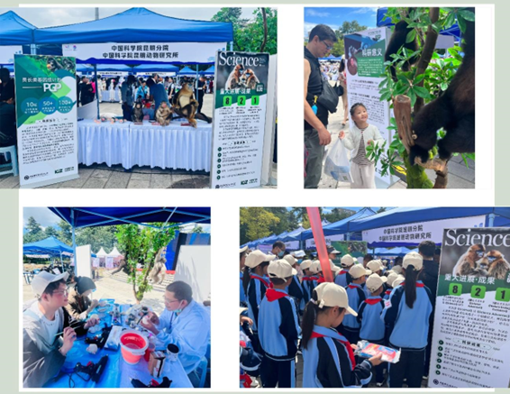 电子游戏app下载安装