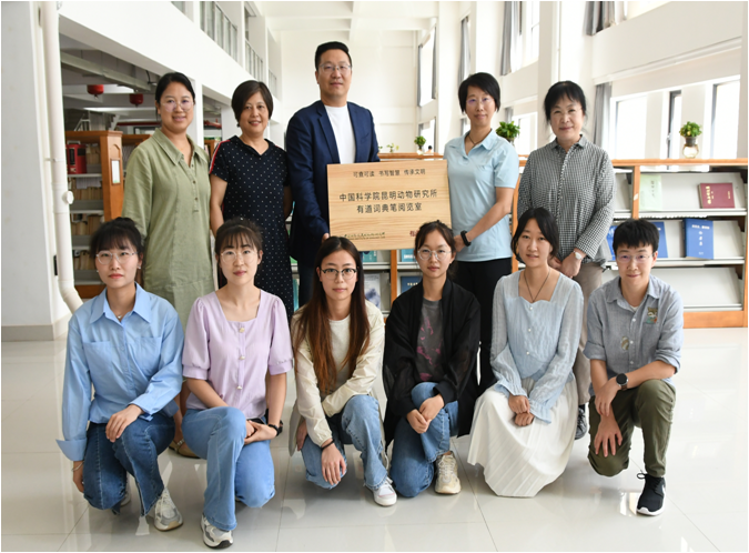 电子游戏app下载安装