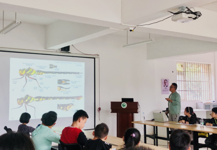 电子游戏app下载安装