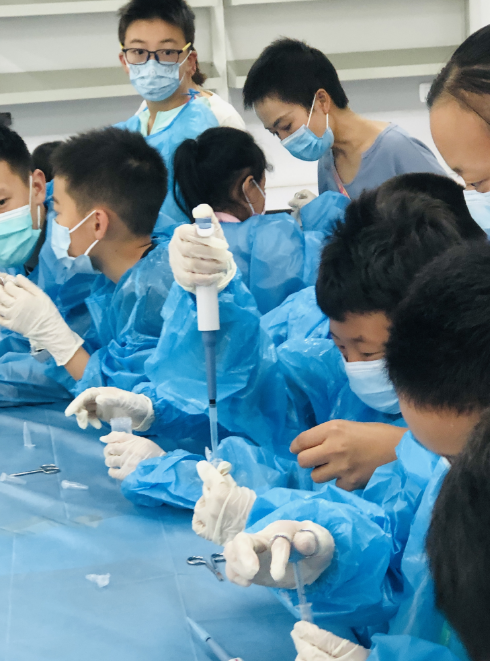 电子游戏app下载安装