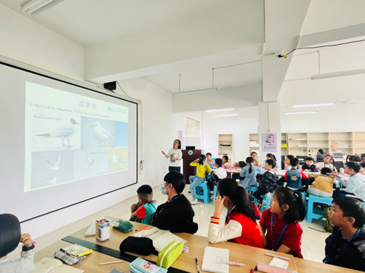 电子游戏app下载安装