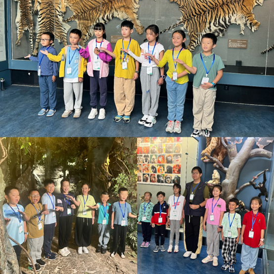 电子游戏app下载安装