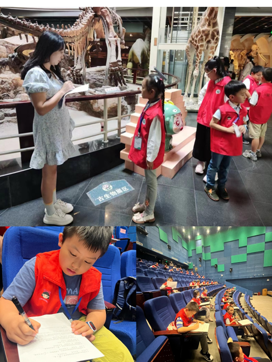 电子游戏app下载安装