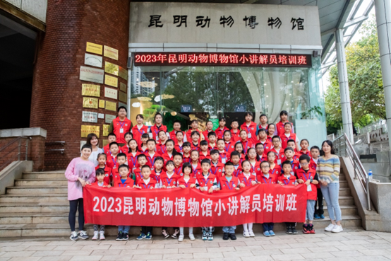 电子游戏app下载安装