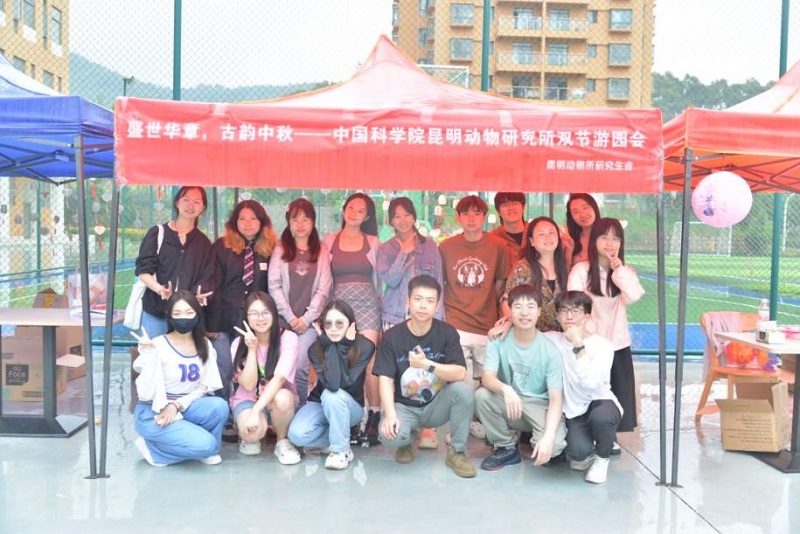 电子游戏app下载安装