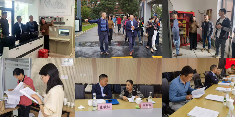 电子游戏app下载安装