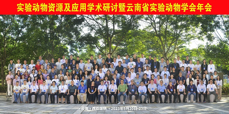 电子游戏app下载安装