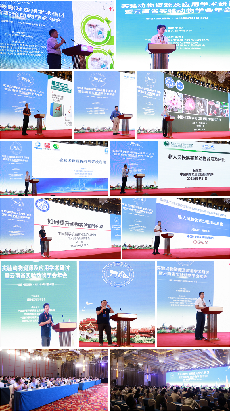 电子游戏app下载安装