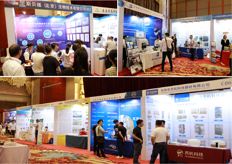 电子游戏app下载安装