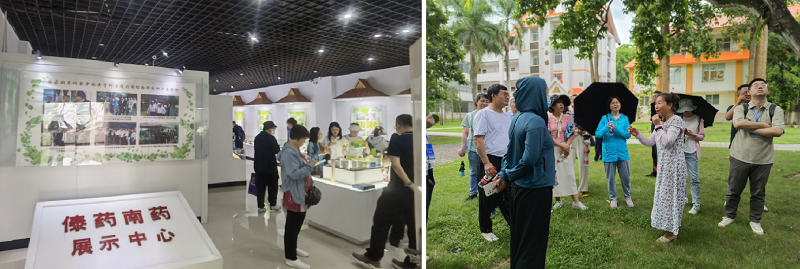 电子游戏app下载安装