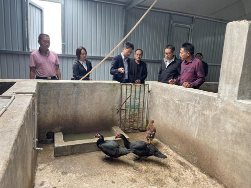 电子游戏app下载安装