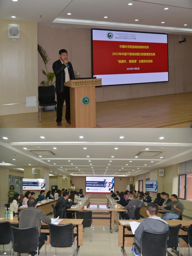 电子游戏app下载安装