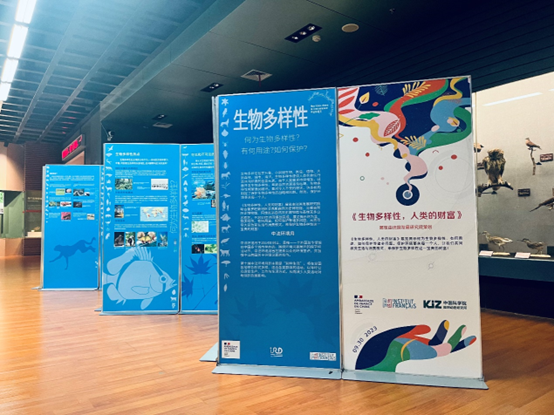 电子游戏app下载安装