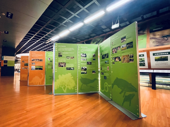 电子游戏app下载安装