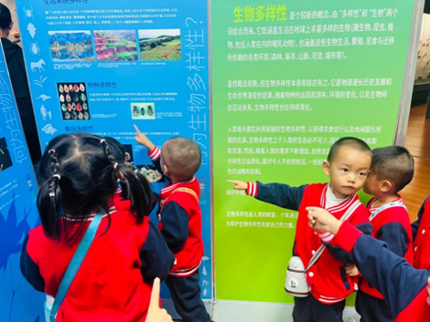 电子游戏app下载安装