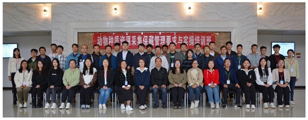 电子游戏app下载安装