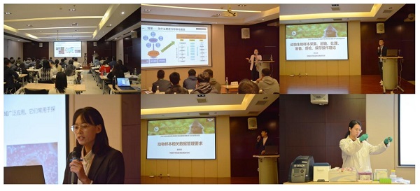 电子游戏app下载安装