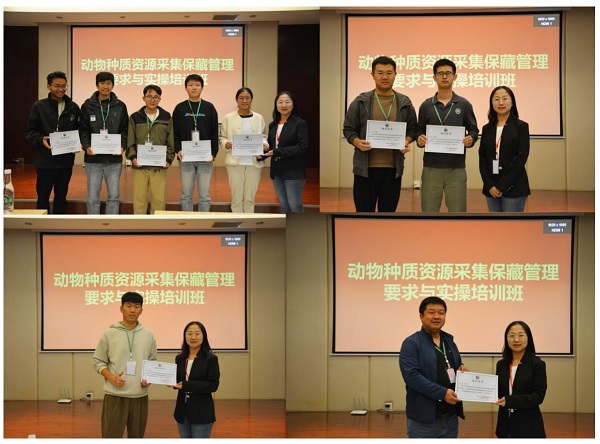 电子游戏app下载安装