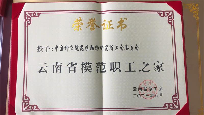 电子游戏app下载安装