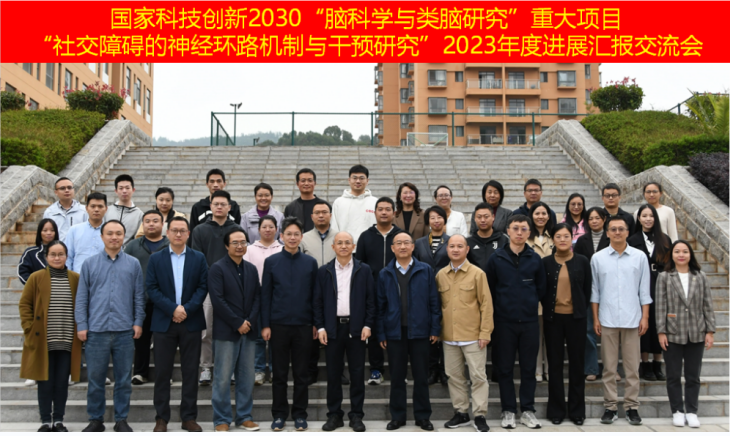 电子游戏app下载安装