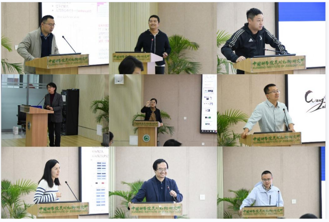 电子游戏app下载安装