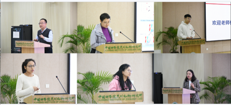 电子游戏app下载安装