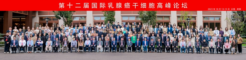 电子游戏app下载安装