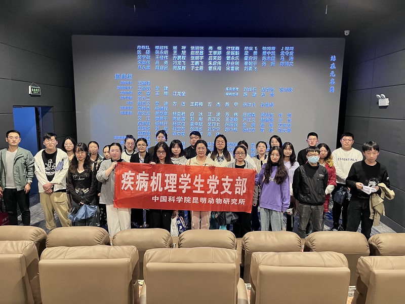 电子游戏app下载安装