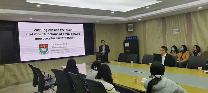 电子游戏app下载安装