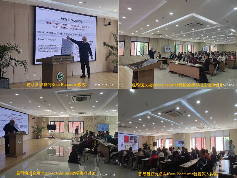 电子游戏app下载安装