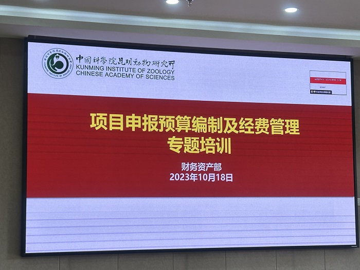 电子游戏app下载安装