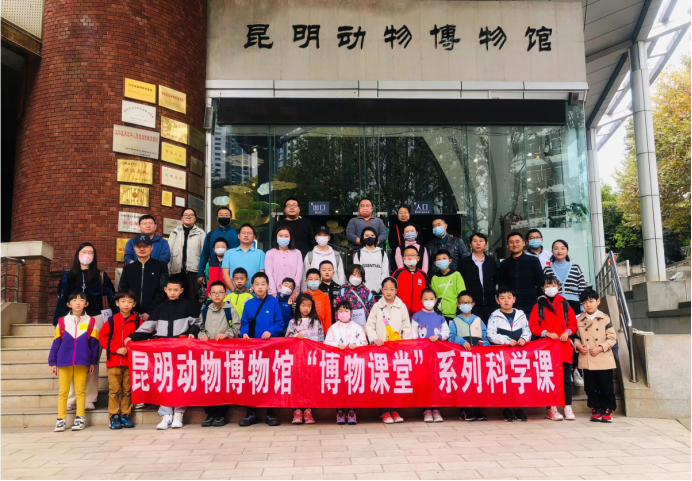 电子游戏app下载安装