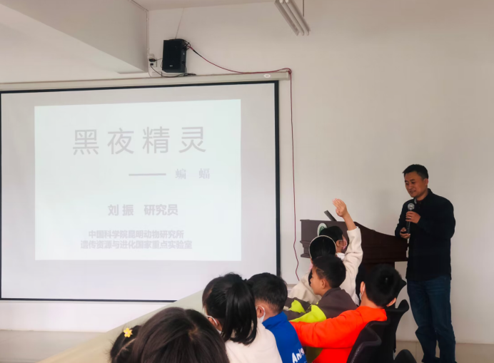 电子游戏app下载安装