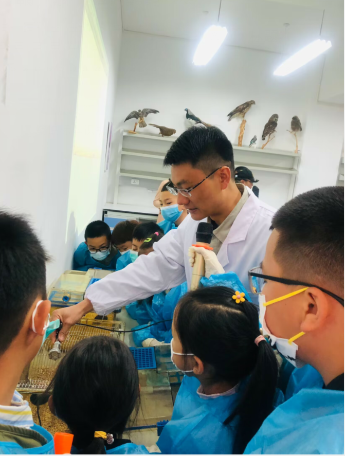 电子游戏app下载安装