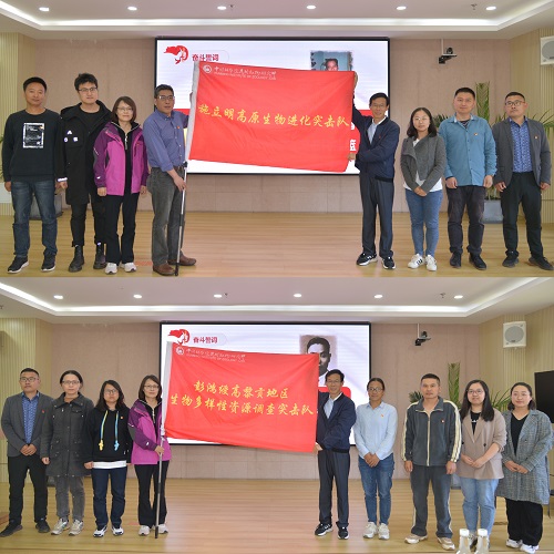 电子游戏app下载安装