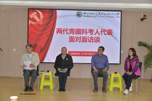 电子游戏app下载安装